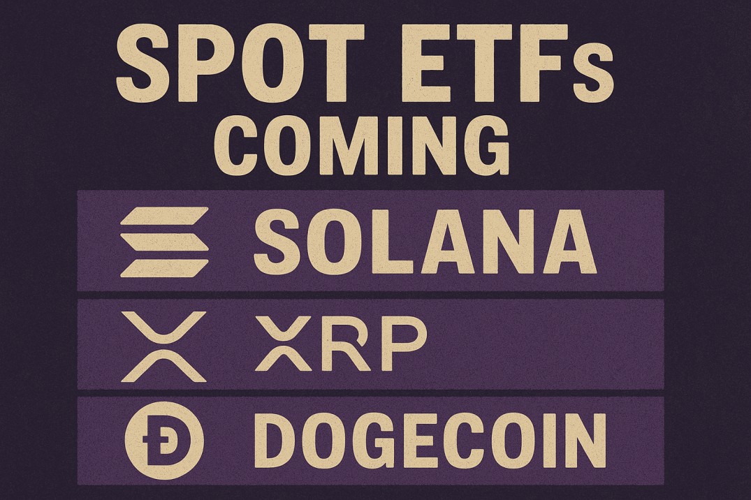 Spot etf solana xrp bonk dogecoin pengu